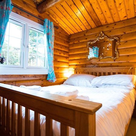 Woodpecker 3 Bedroom Trawsfyndd Holiday Village - Hosted By Seren Property Trawsfynydd Luaran gambar